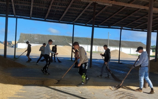 Лагерь труда и отдыха "КРУТО!"     День 9