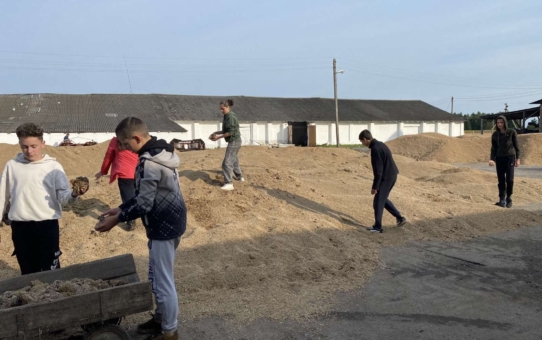 Лагерь труда и отдыха "КРУТО!"     День 14