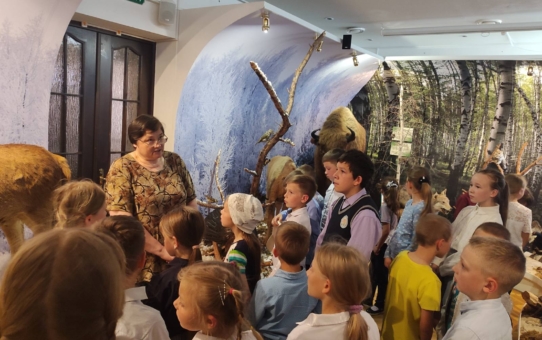 Урок у музеі