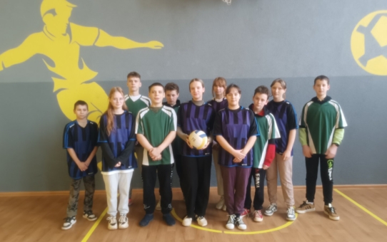 Акцыя "Дом без гвалту"