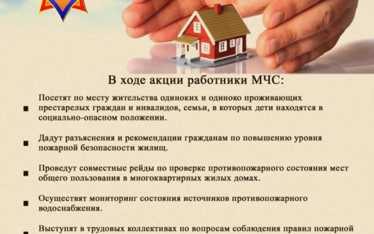 Профилактическая акция «За безопасность вместе!»